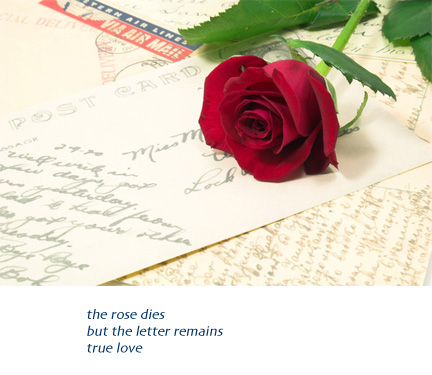 Amanda Aukerman haiga 29